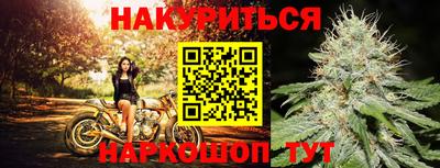 индика Ртищево