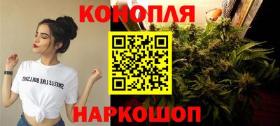 индика Ртищево