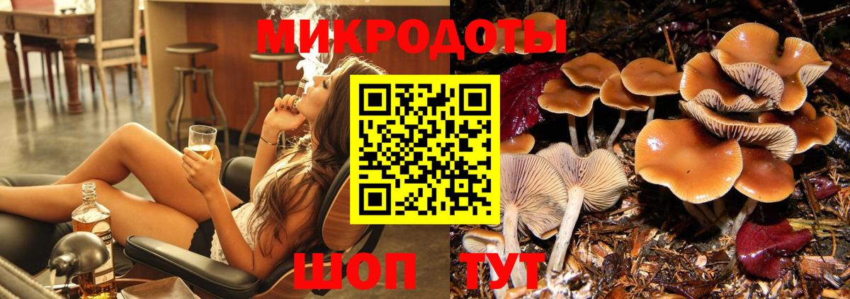 Астрахань  Псилоцибиновые грибы Psilocybine cubensis  Вход с VPN 