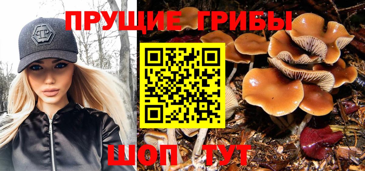 Псилоцибиновые грибы MAGIC MUSHROOMS Астрахань